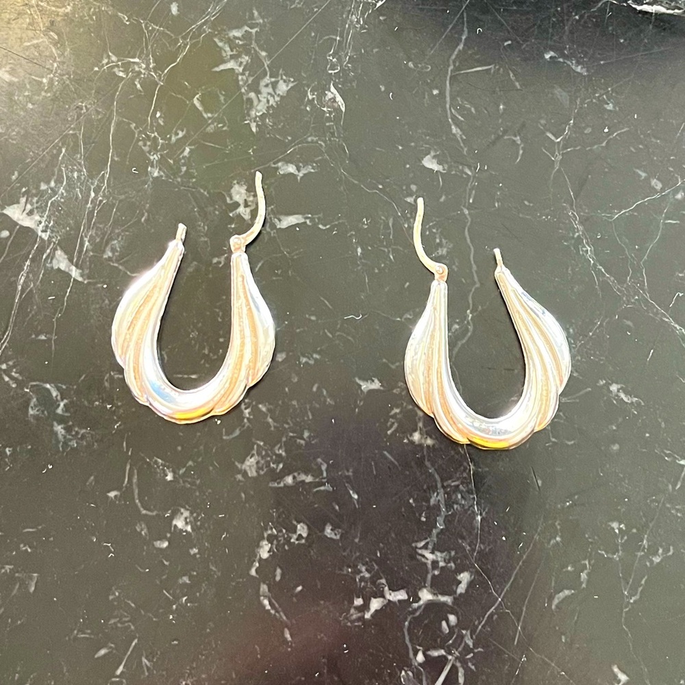 Fancy silver earrings
